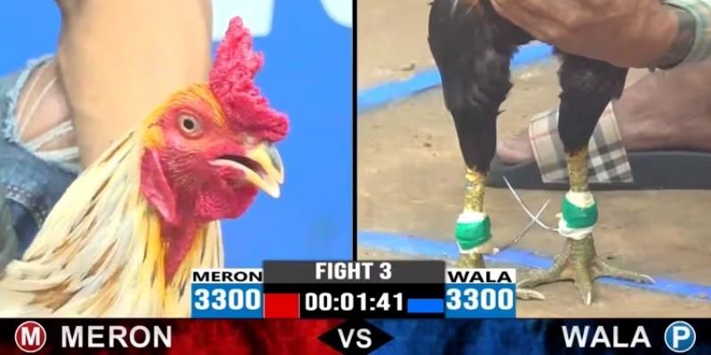 Meron Wala Là Gì - Thông Tin Thú Vị Về Cửa Cược